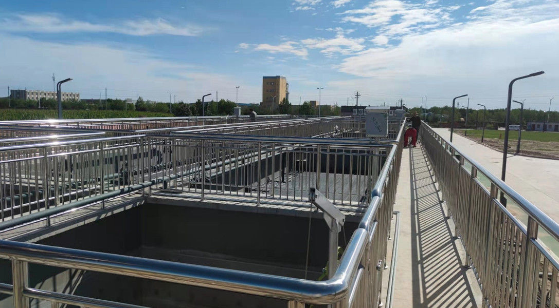 Shaanxi Shanqing Environmental Technology Co., Ltd. productielijn van de fabrikant